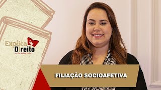 Explica Direito Filiação Socioafetiva  2019 [upl. by Dera]